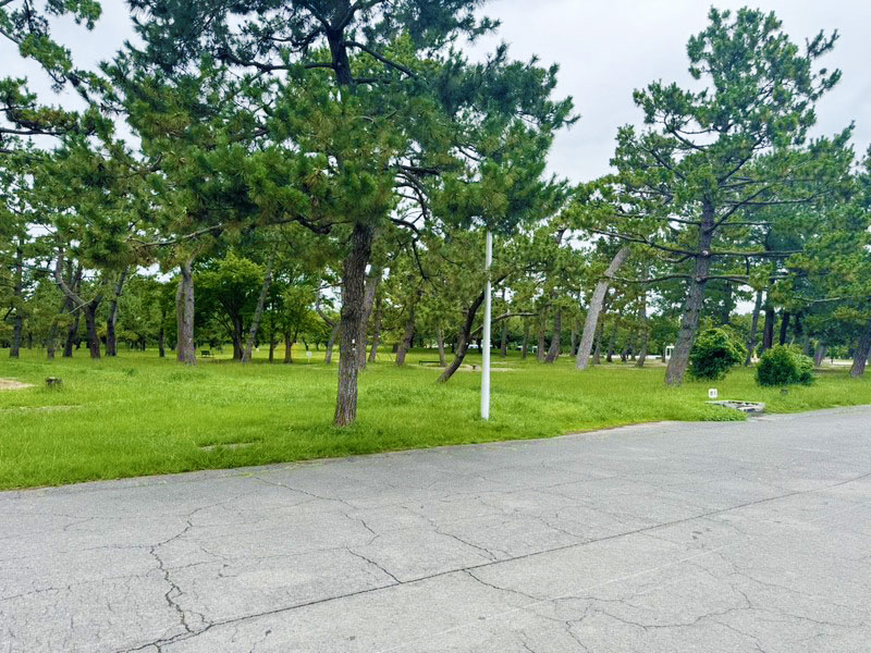 浜寺公園無料バーベキューエリア