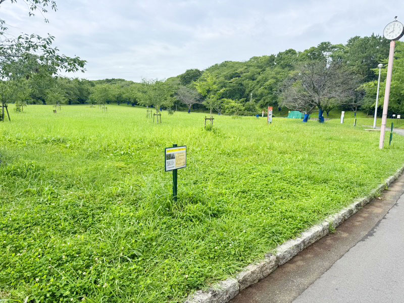 櫻広場バーベキューエリア