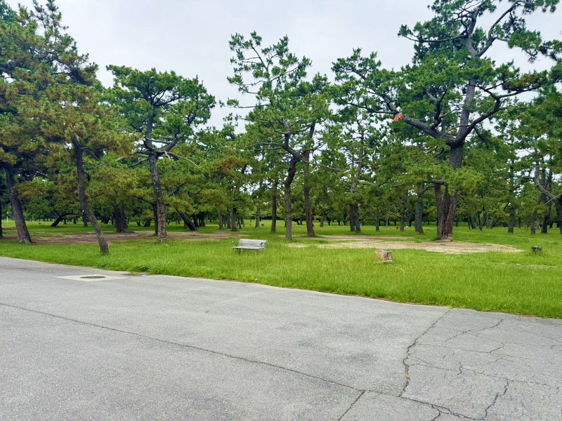 浜寺公園限定プラン