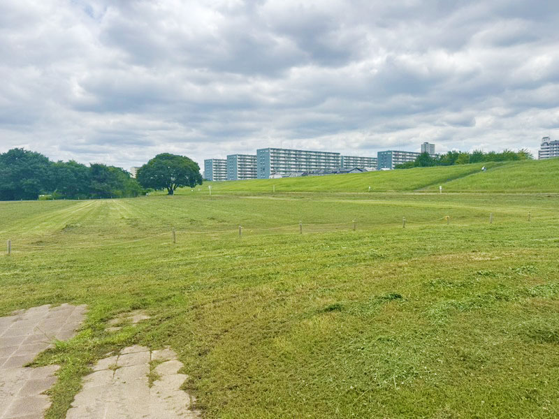 2026年最新の淀川河川公園(太子橋地区)バーベキュー情報