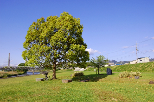 2026年最新の石川河川公園バーベキュー情報