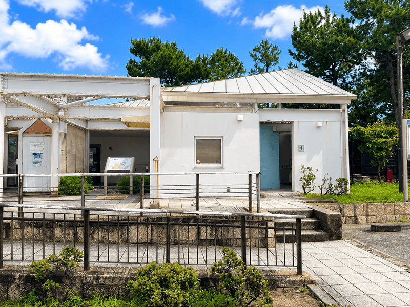 2026年最新のりんくう公園マーブルビーチバーベキュー情報