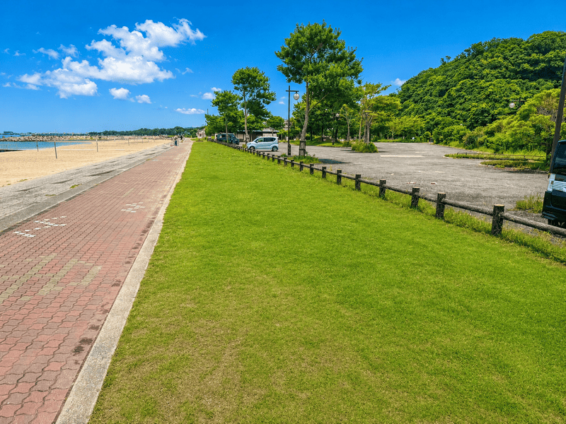 2026年最新のときめきビーチ（淡輪海水浴場）バーベキュー情報