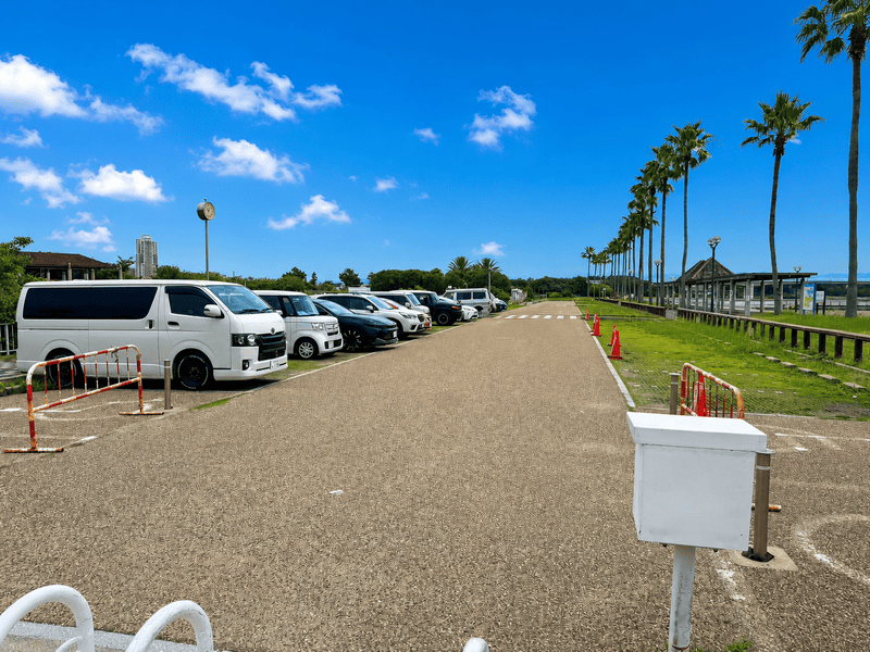 2026年最新の二色の浜公園（海浜緑地）バーベキュー情報
