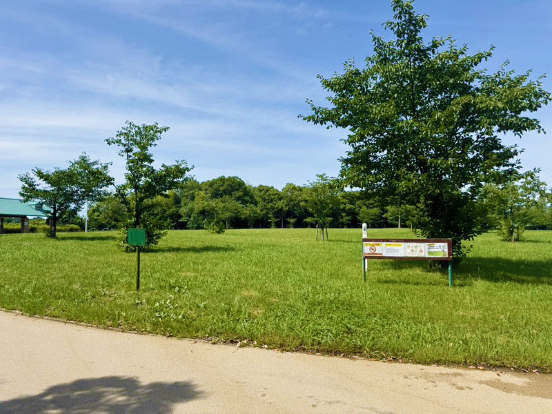 2026年最新の寝屋川公園バーベキュー情報