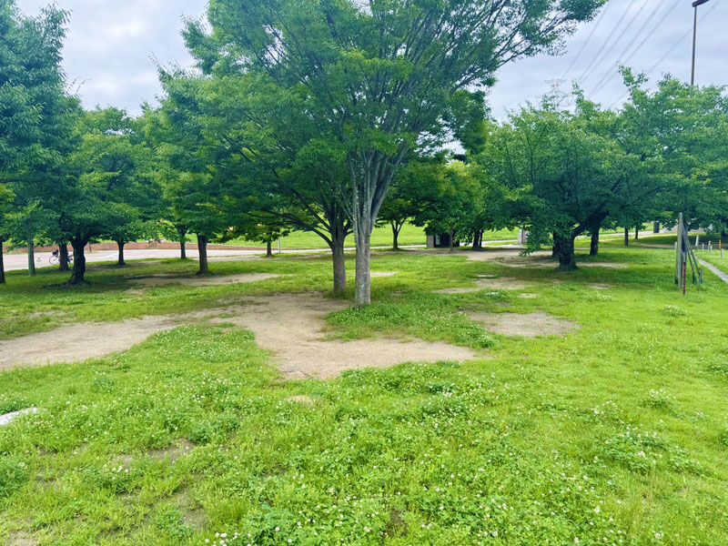 2026年最新の山田池公園バーベキュー情報